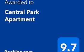 Central Park Apartment